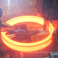 Stainless Steel Forging Material Ring